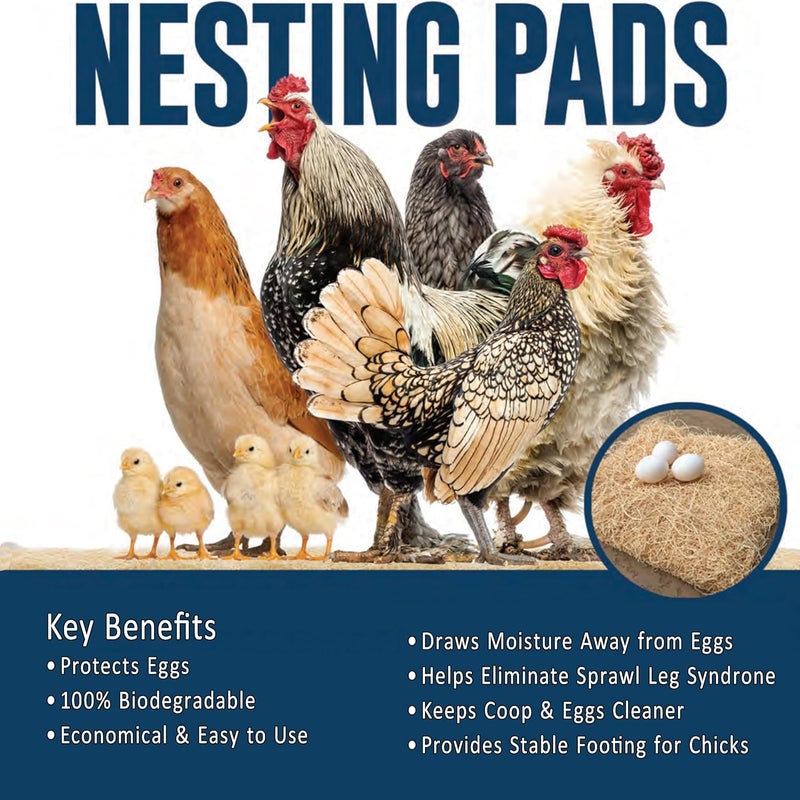 Trendiees Chicken Nesting Pads for Chicken Coop Accessories - 12 Pack - USA Aspen Bedding - Nesting Boxes for Chickens -Rabbit Nesting Box Pads for Chicken Coops - Organic Chicken Supplies - Image 2